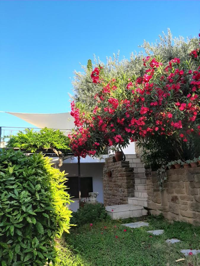 Studio Vita Fjesa Exteriér fotografie