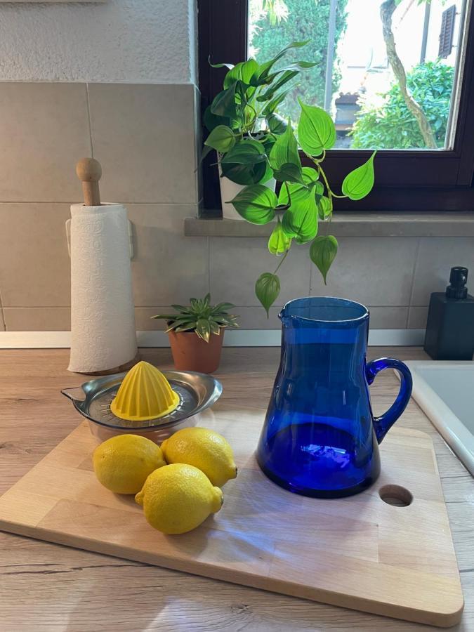 Studio Vita Fjesa Exteriér fotografie